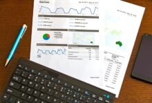 business insights and ventures