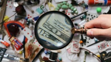 fraud detection access tool