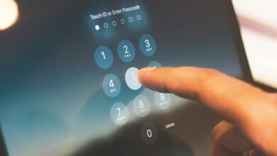 fraud detection phone numbers